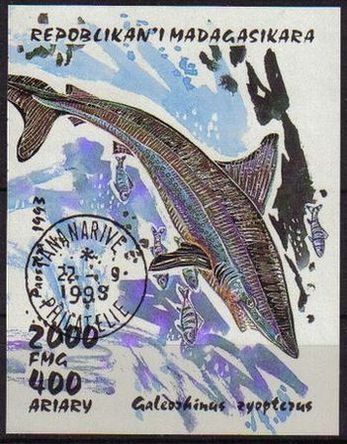 MADAGASCAR 1993 Scott 1297 Sello Nuevo HB Tiburon Shark Galeorhinus zyopteru Matasellos de Favor Preobliterado Malagasy B210 